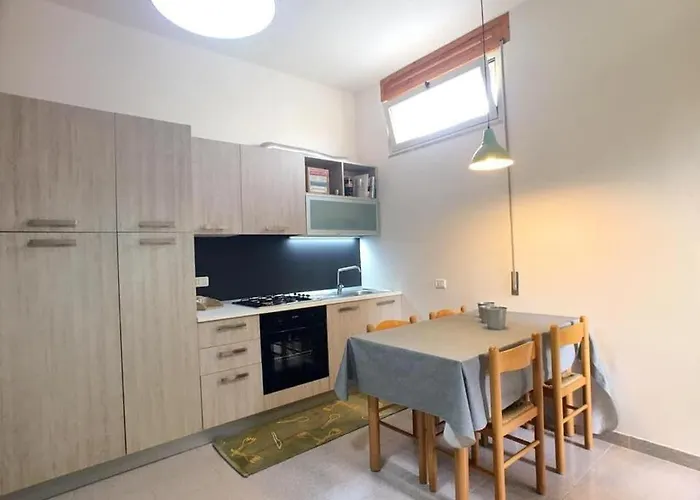 Ibiscus Silver 托雷瓦多